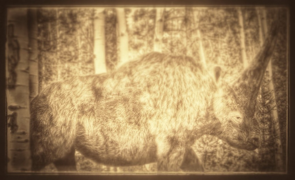 Elasmotherium_-Thin_Plate_Beast-.jpg