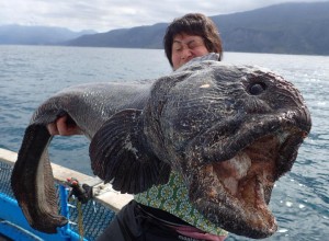 Rusnya tengeri szörny akadt horogra Japánban