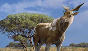 Tízezer éve kihalt zsiráf volt a világ legnagyobb kérődzője