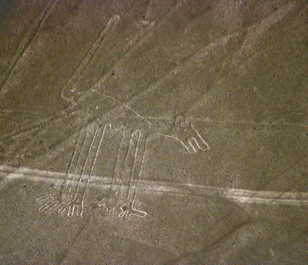 1280px-Nazca-lineas-perro-c01