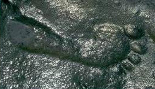 290-million-year-old-footprint-Ancient-Code