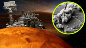 Most már biztos, hogy van élet a Marson: Penészedik a Curiosity rover!