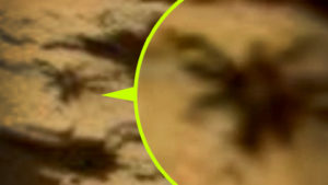 Napozó földönkívüli pókot fotóztak a Mars egyik szikláján
