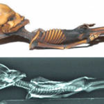 Megvizsgálták az atacama-i földönkívüli múmia DNS-ét, kiderült, hogy mi is volt…