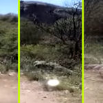 Döbbenetes videó egy kocsit üldöző fénygömbről