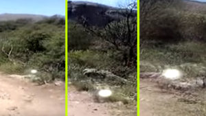 Döbbenetes videó egy kocsit üldöző fénygömbről