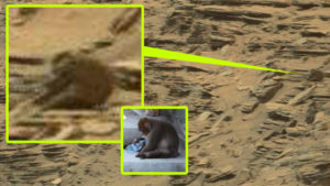 Mit keres egy majom a Marson készült fotón?