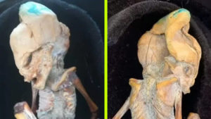 Újabb mumifikált idegenről kerültek elő fotók