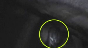 Hátborzongató lényt videóztak egy ausztrál barlangban