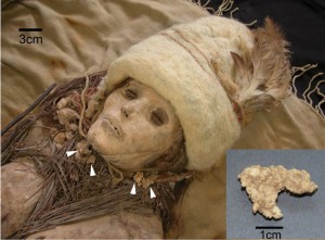 Egy 3600 éves múmián találták meg a világ legrégebbi sajtját