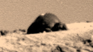 A NASA hallgat róla: kunyhót fotóztak a Marson!