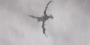 Ismeretlen lény repült be a turisták videójába az őserdőben!