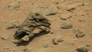 Elképesztő lelet a Marsról: Megkövesedett állati koponyára bukkantak!