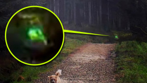 Hátborzongató lidércet fotózott a kiránduló egy angliai erdőben