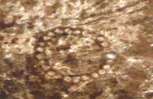 Nazca-vonalaknál is ősibb ábrákat vizsgál a NASA a kazahsztáni sztyeppén