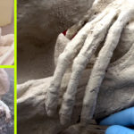 Szenzációs lelet: Mumifikálódott földönkívülit találtak egy perui barlangban!