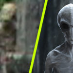 Földönkívüli lény tévedt a kamera elé a temetőben