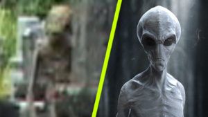 Földönkívüli lény tévedt a kamera elé a temetőben
