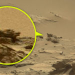 Újabb gyanús fotó a NASA archívumából: Madár a Marson!